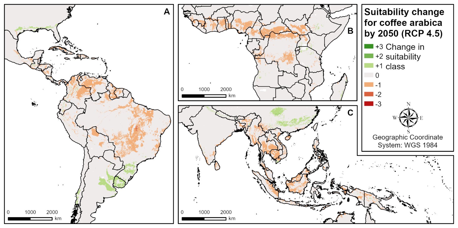 Green areas are projected to be favorable to coffee cultivation by 2050, while brown areas will not be.