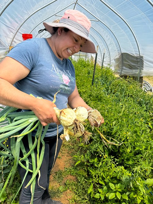 Maximina Hernández Reyes grows many types of produce found in her home state of Oaxaca, Mexico, including tomatillos and herbs like epazote.