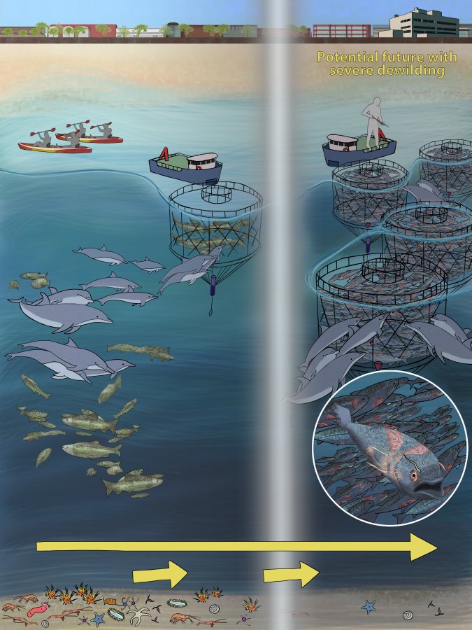 a drawing of the ocean where farming leads to