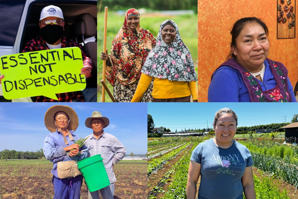 a collage of diverse farmers and farm workers in the field, with signs, and smiling at the camera