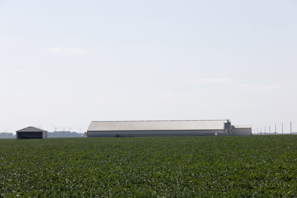 This CAFO, located across the road from the Trom family farm, sparked multiple lawsuits. (Photo credit: Laurie Schneider)
