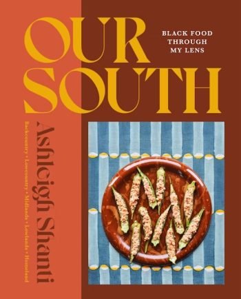 Our South book cover