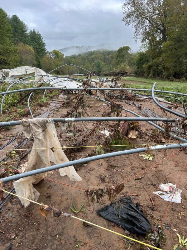 The aftermath of a flooded farm, with crops destroyed and wires hanging haphazardly