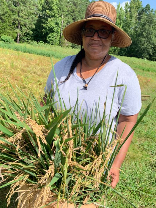 A Black woman rice farmer wearing a straw hat holds a basket of recently harvest rice stalks