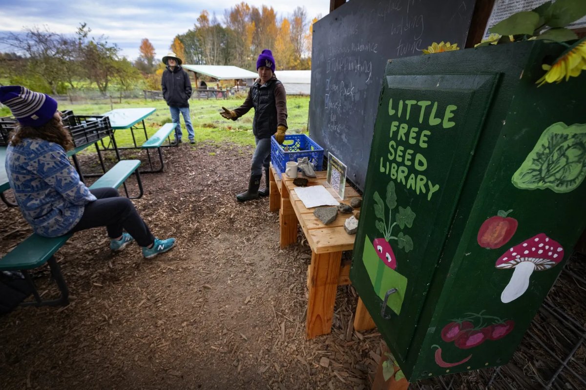 At a park, several people laugh and stand or sit at a table with a little green box in the foreground labeled 