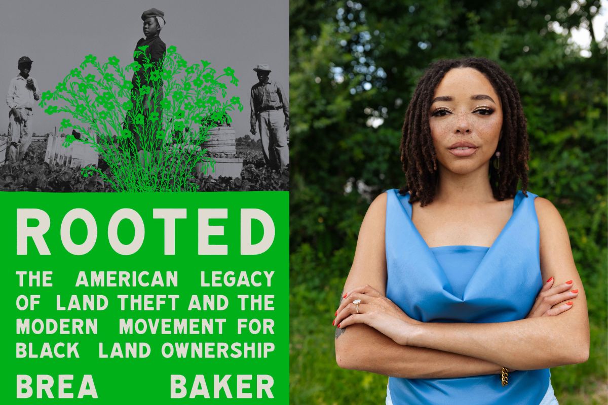 A collage of a book cover on the left with the title 