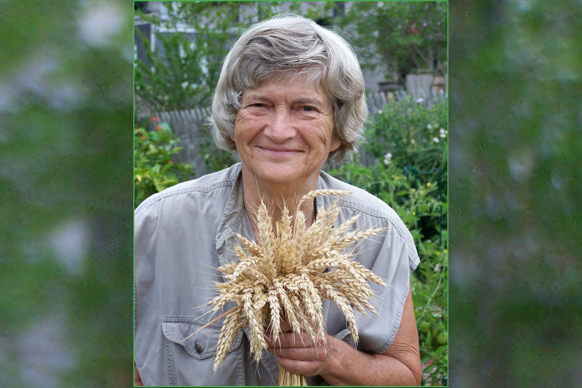 A woman with grey hair smiles for camera while holding wheat stalks in her hands