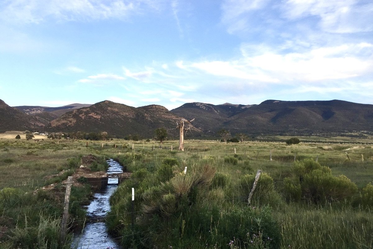 A green grassy field with a waterway like a ditch in an idyllic setting