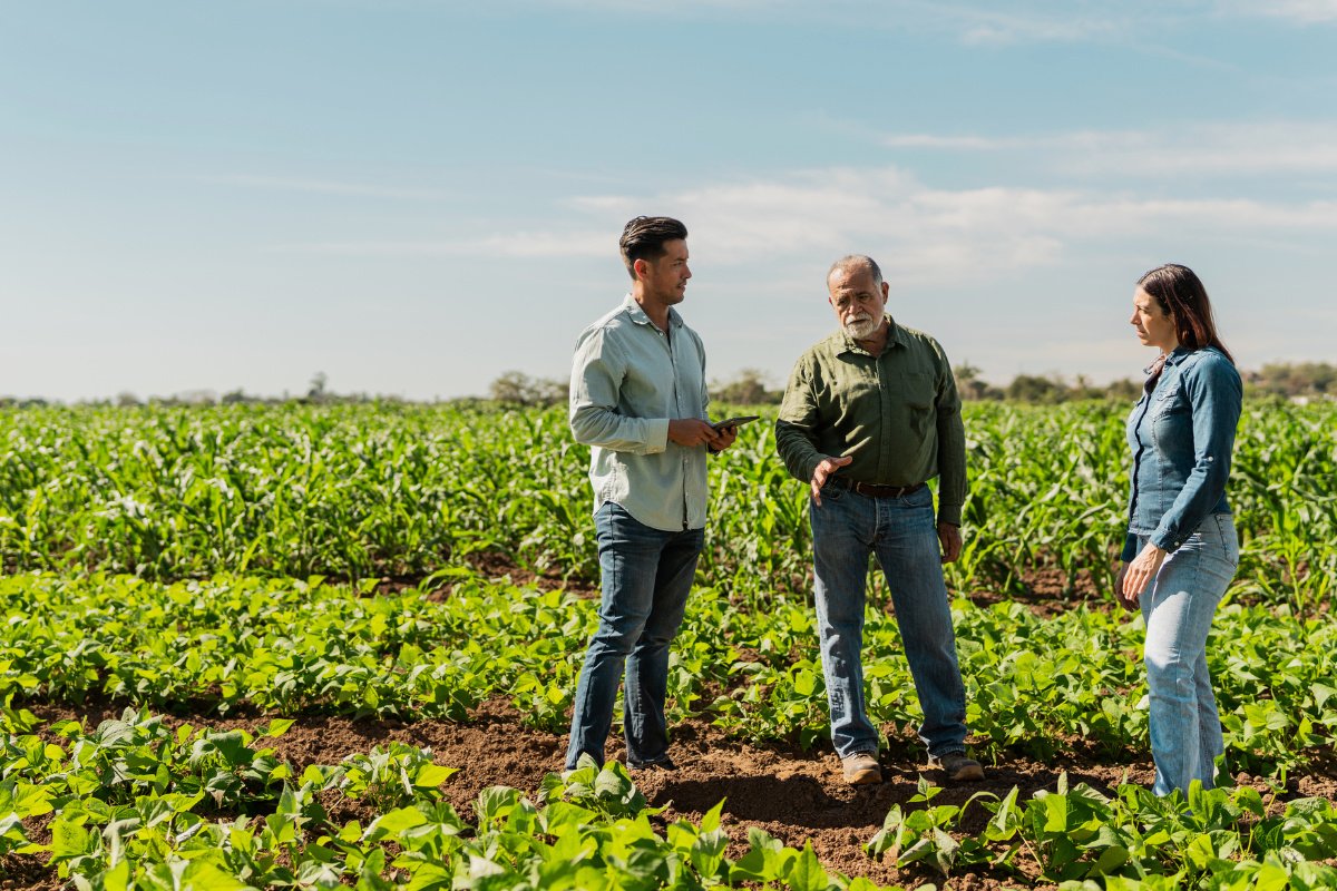 An agronomist talks to two farmers about PFAS in their soil. (Photo credit: Getty Images)