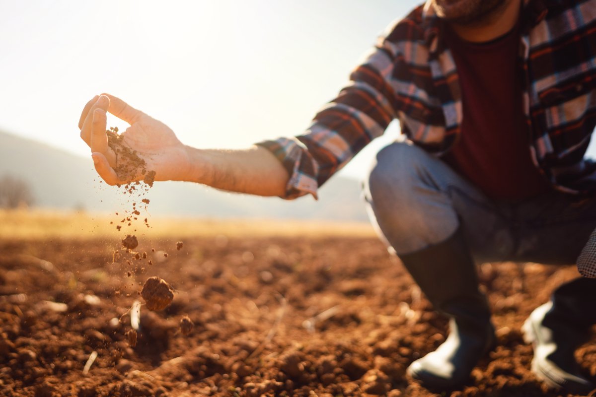 An unidentifiable farmer holds soil from a field.